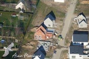 P1580205 2023 02 08 Allée Des Hérons